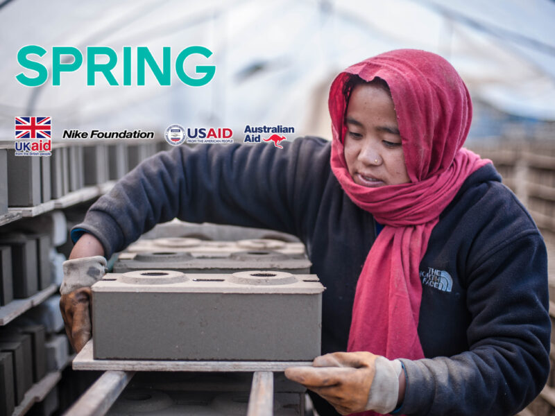 Trusted training partner on the use of Compressed stabilized earth brick